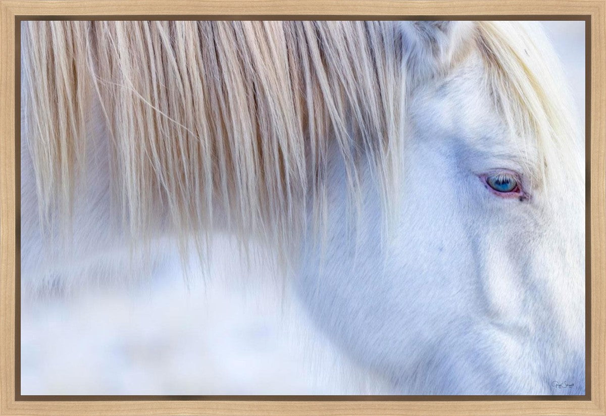 White Gypsy Gallery Wrap