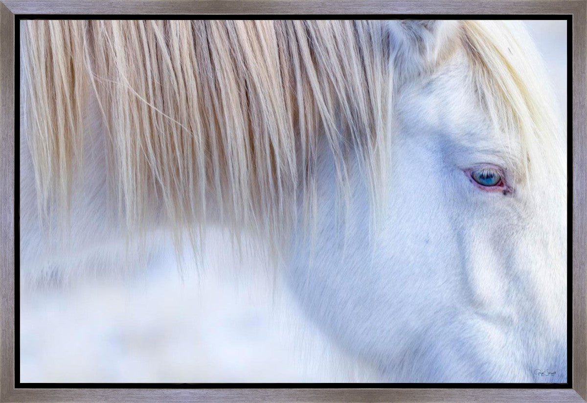 White Gypsy Gallery Wrap