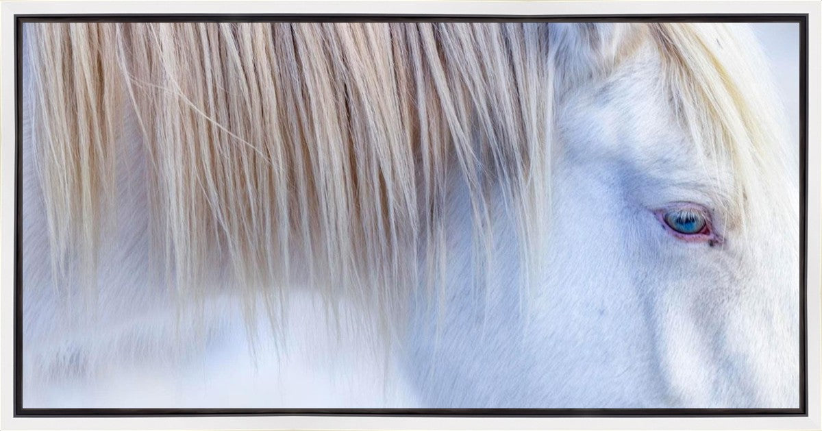 White Gypsy Gallery Wrap