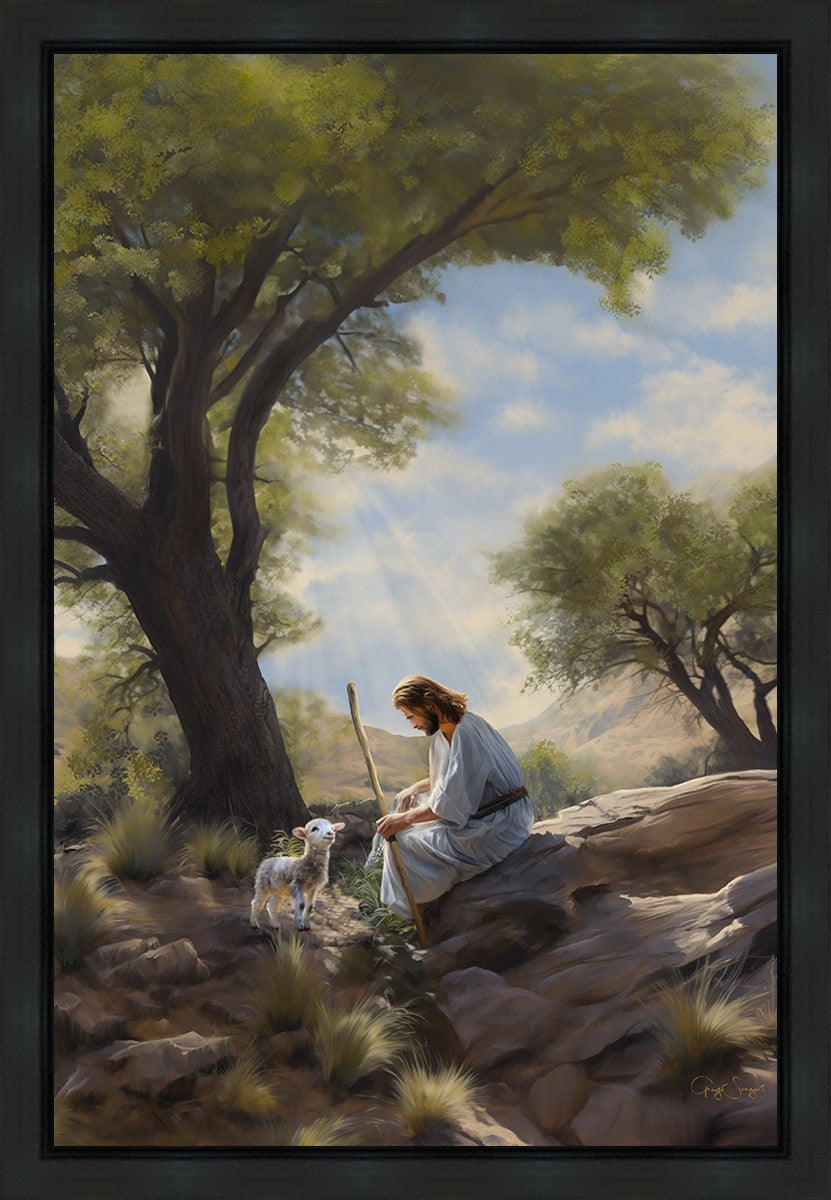 Shepherd's Counsel Gallery Wrap