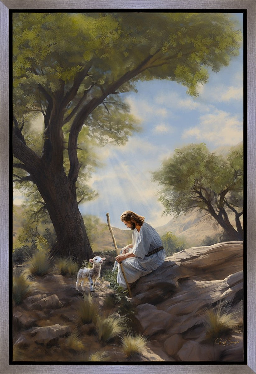 Shepherd's Counsel Gallery Wrap