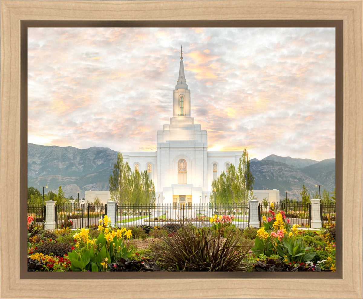 Orem Utah Sunrise Flowers