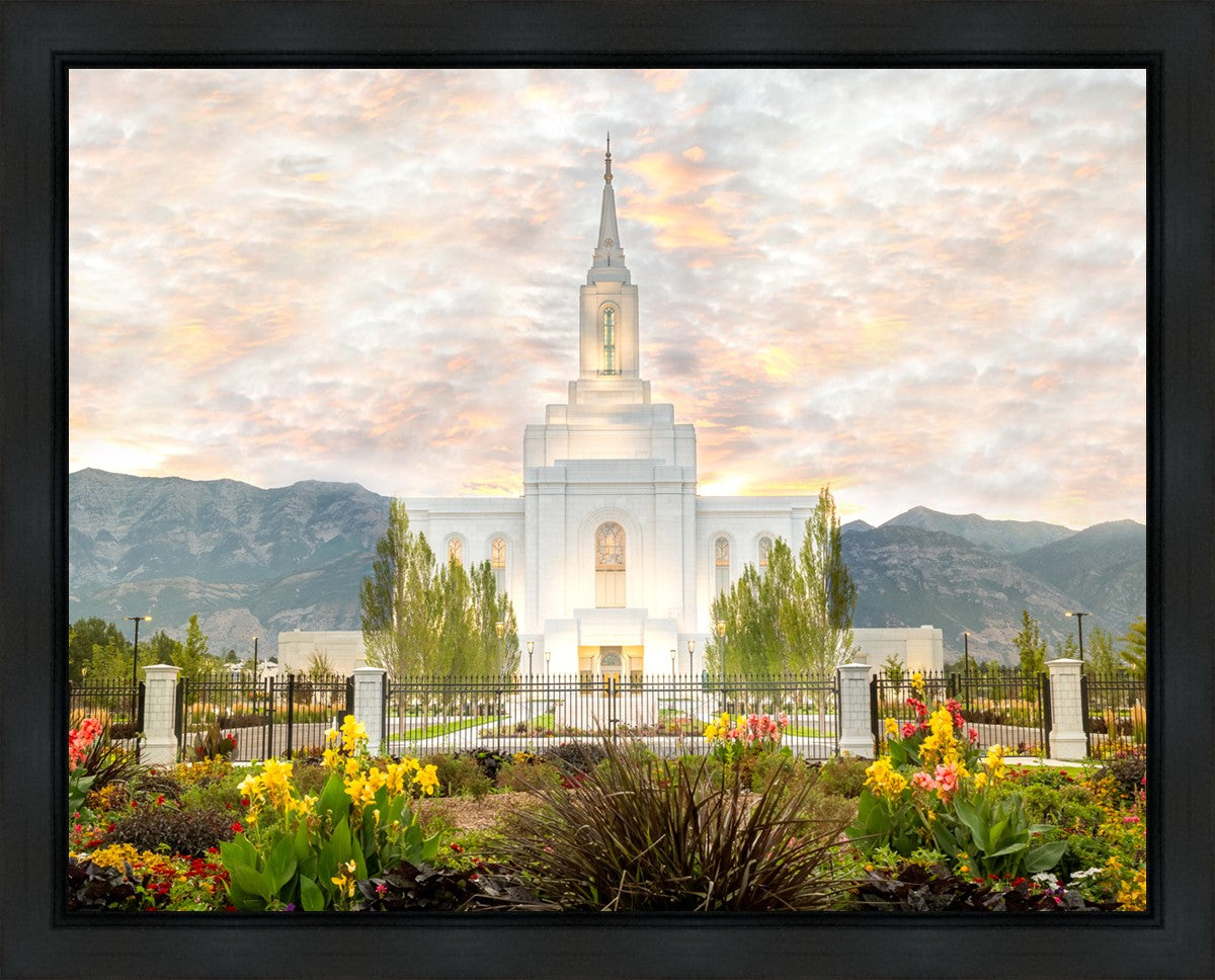 Orem Utah Sunrise Flowers
