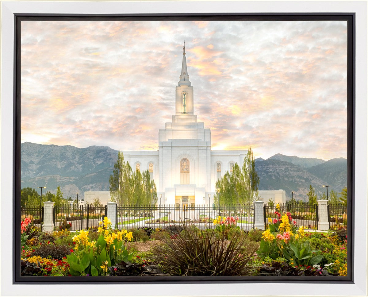 Orem Utah Sunrise Flowers