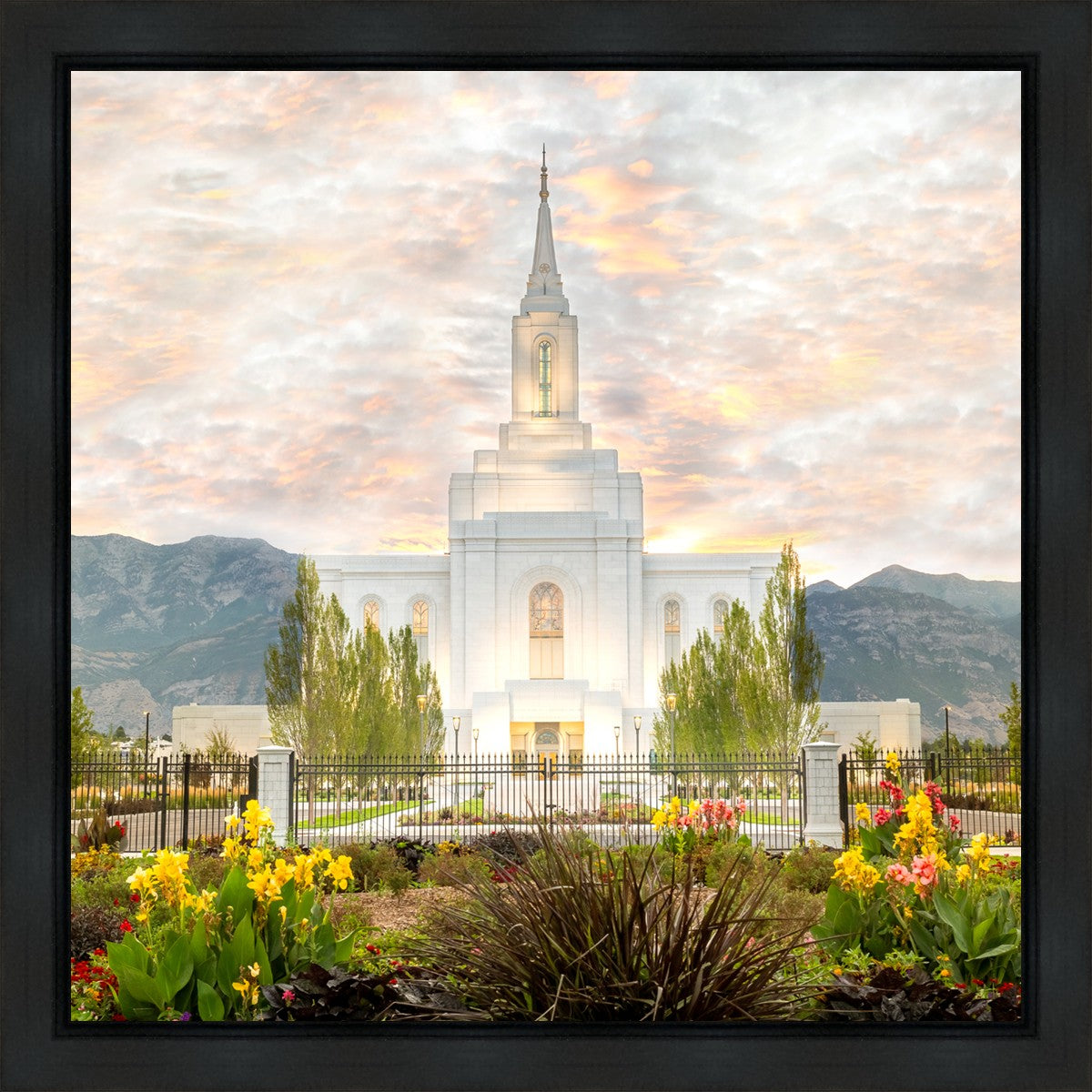 Orem Utah Sunrise Flowers