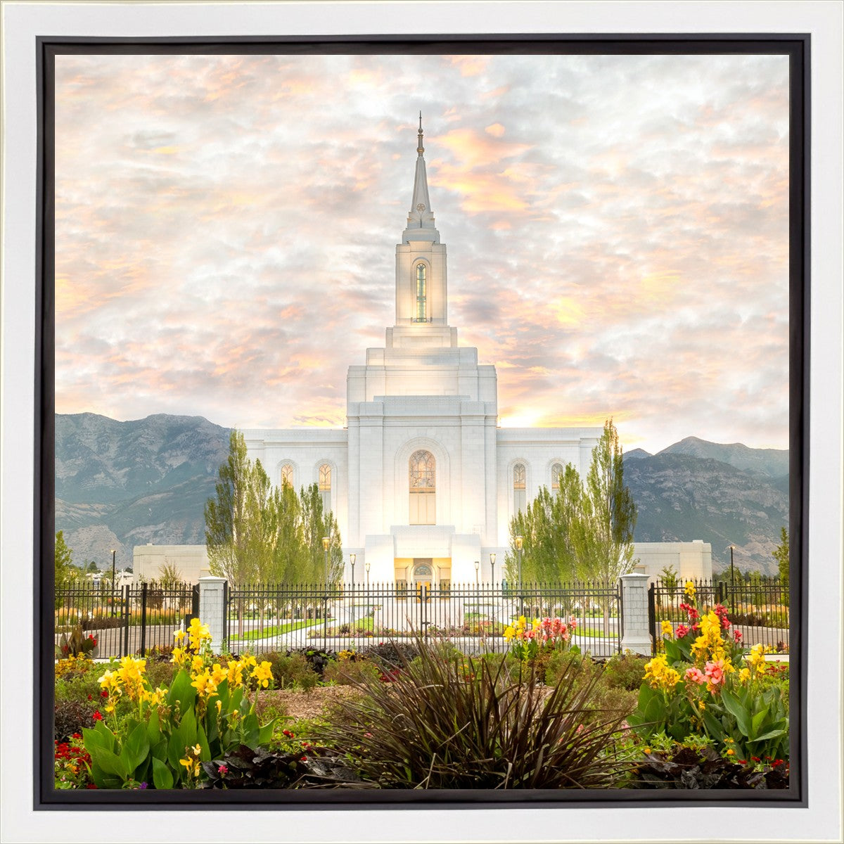 Orem Utah Sunrise Flowers