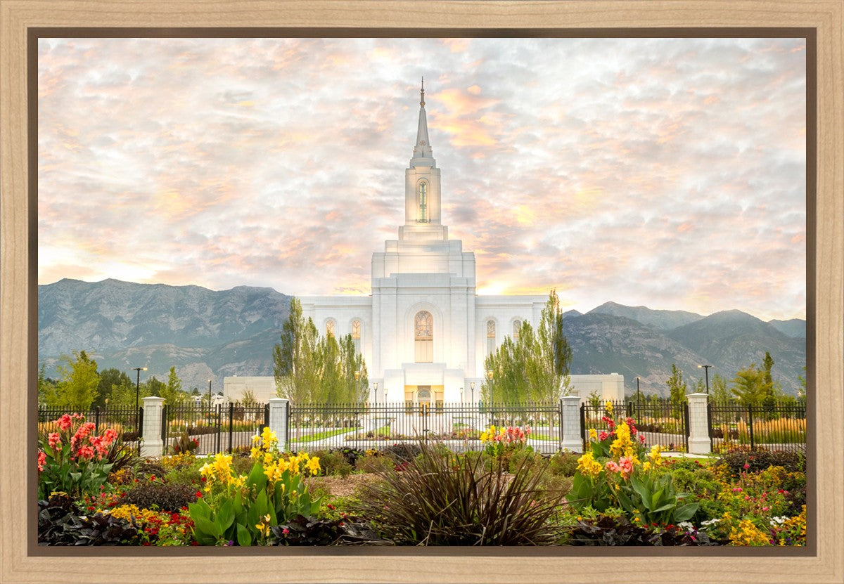 Orem Utah Sunrise Flowers