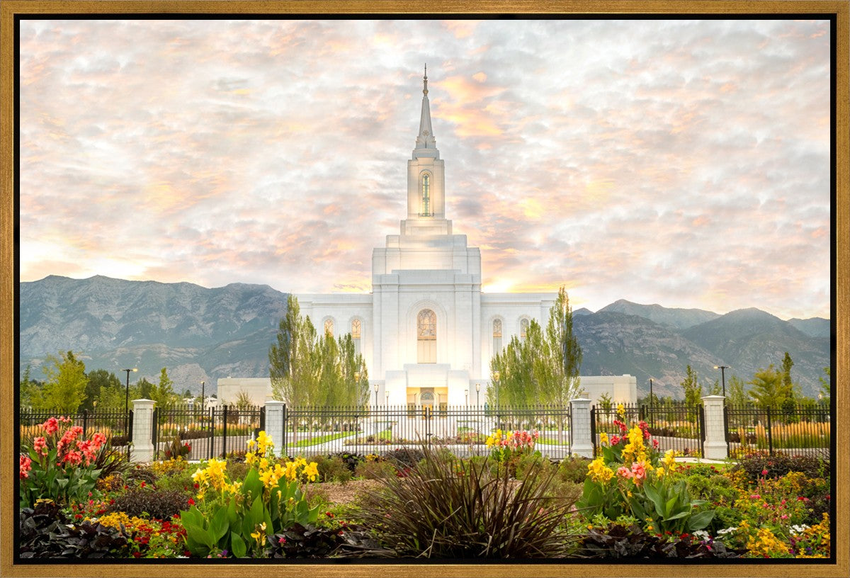Orem Utah Sunrise Flowers