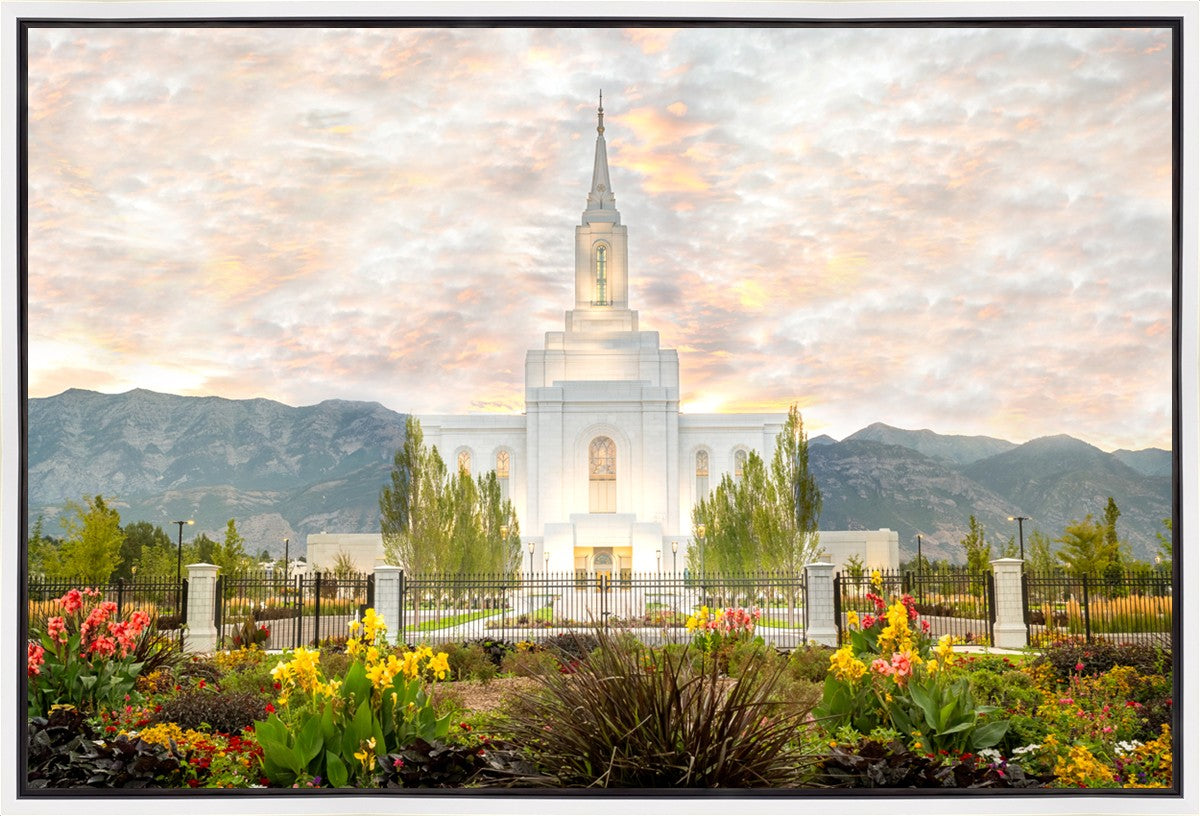 Orem Utah Sunrise Flowers