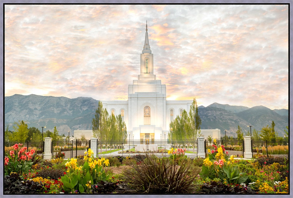 Orem Utah Sunrise Flowers