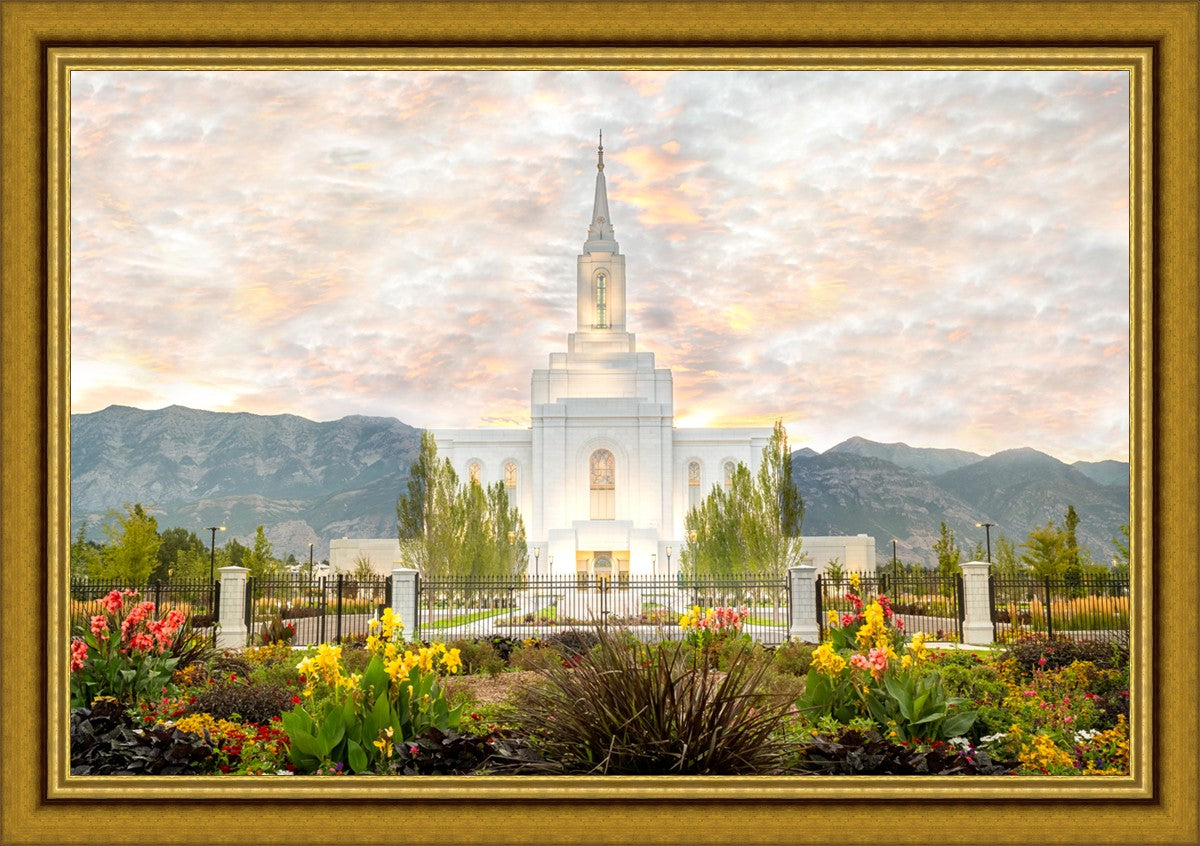 Orem Utah Sunrise Flowers