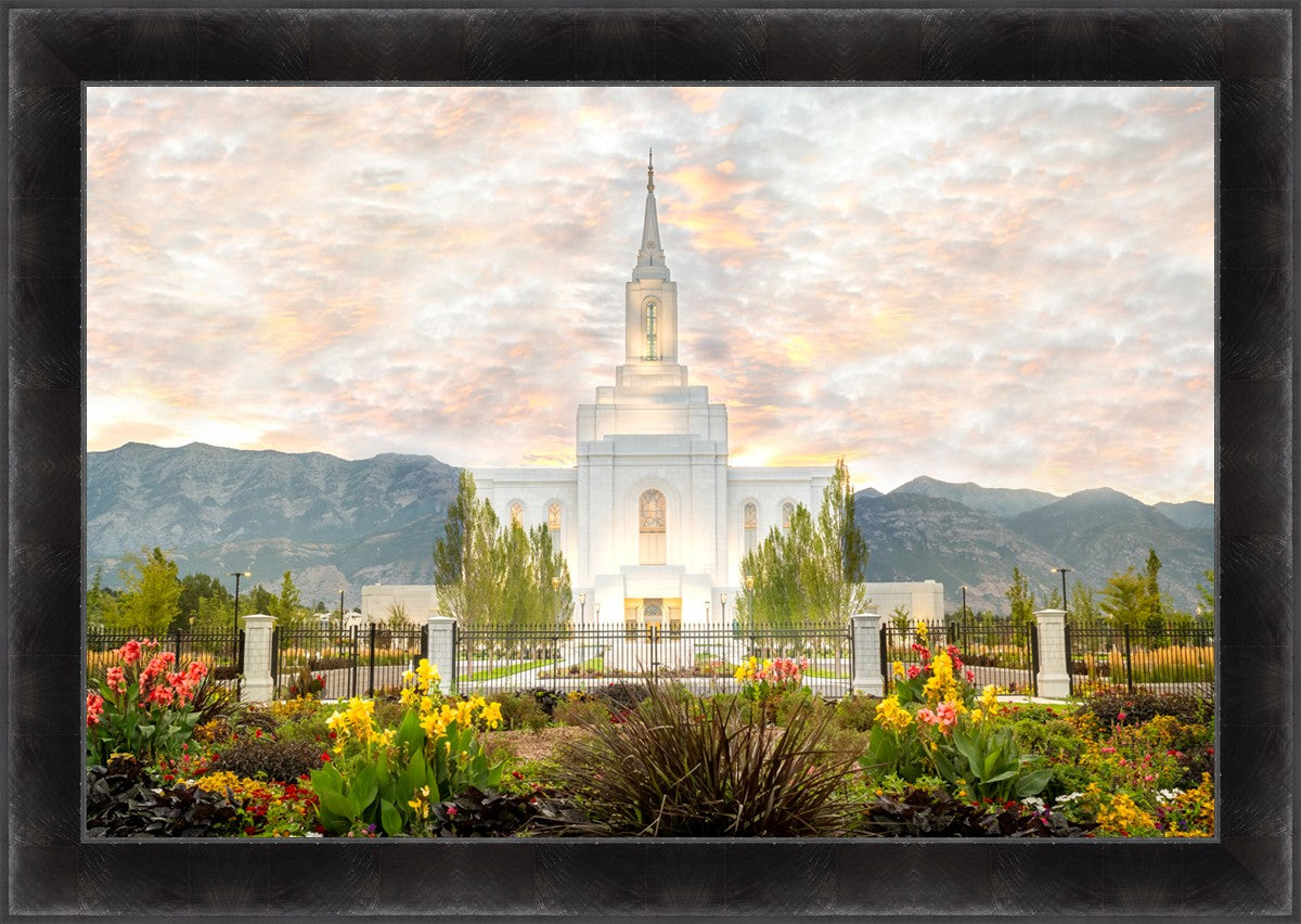 Orem Utah Sunrise Flowers