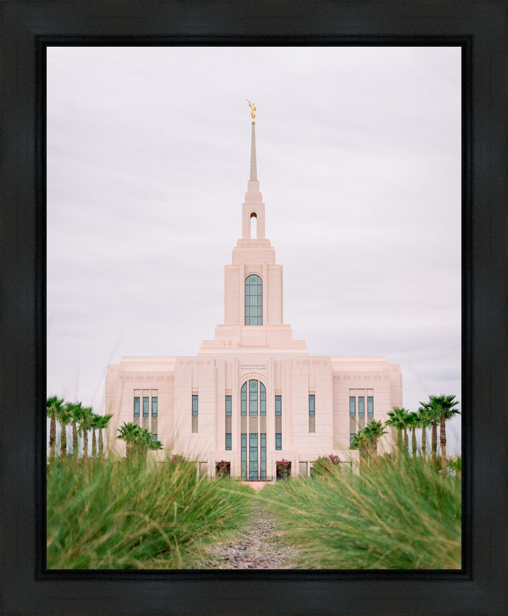 Red Cliffs Utah Palm Trees