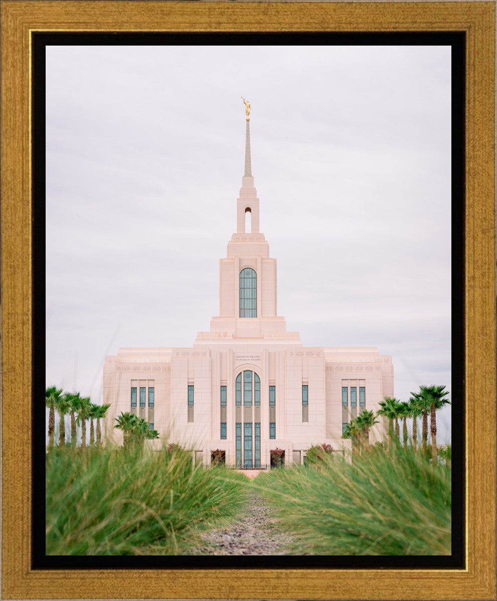Red Cliffs Utah Palm Trees