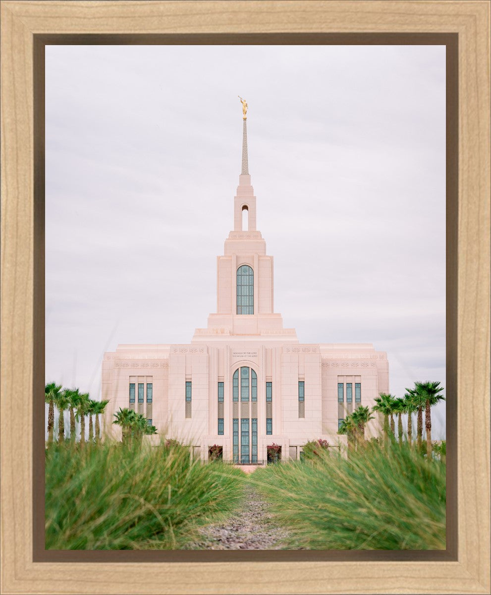 Red Cliffs Utah Palm Trees