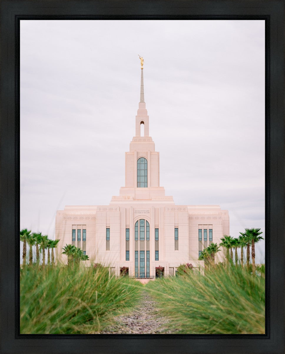 Red Cliffs Utah Palm Trees