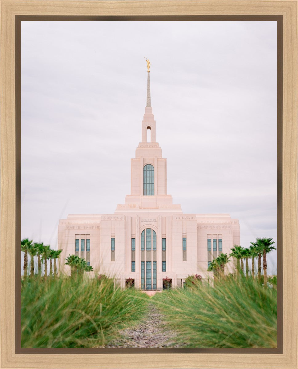 Red Cliffs Utah Palm Trees