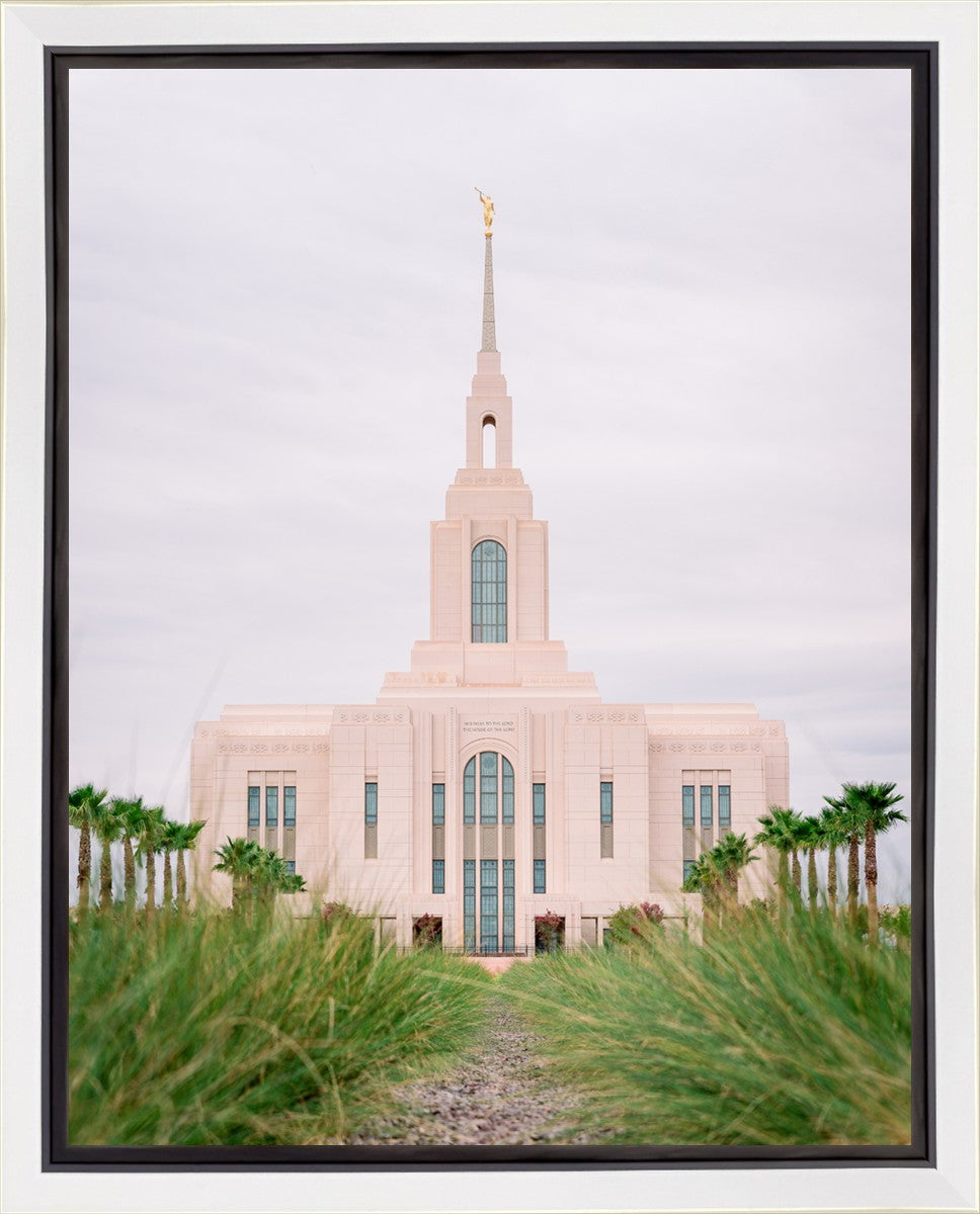 Red Cliffs Utah Palm Trees