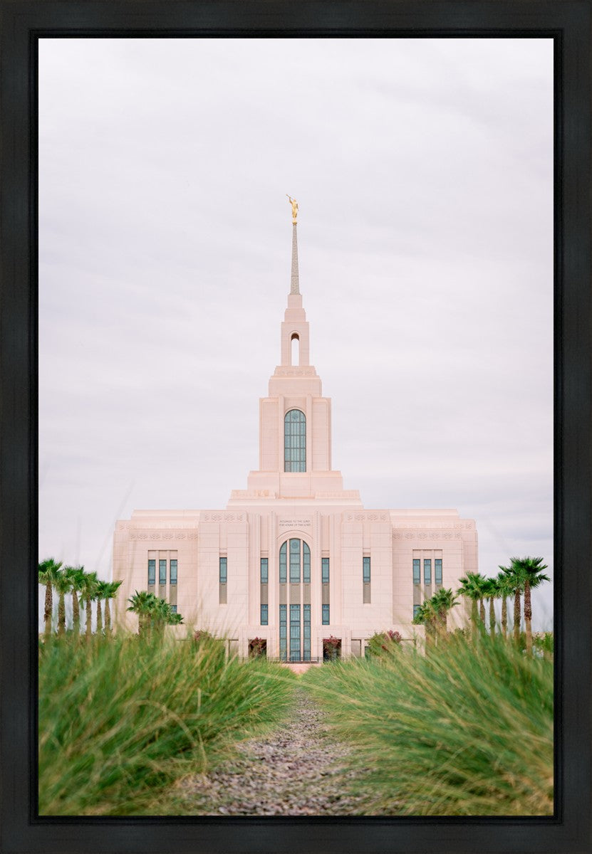 Red Cliffs Utah Palm Trees