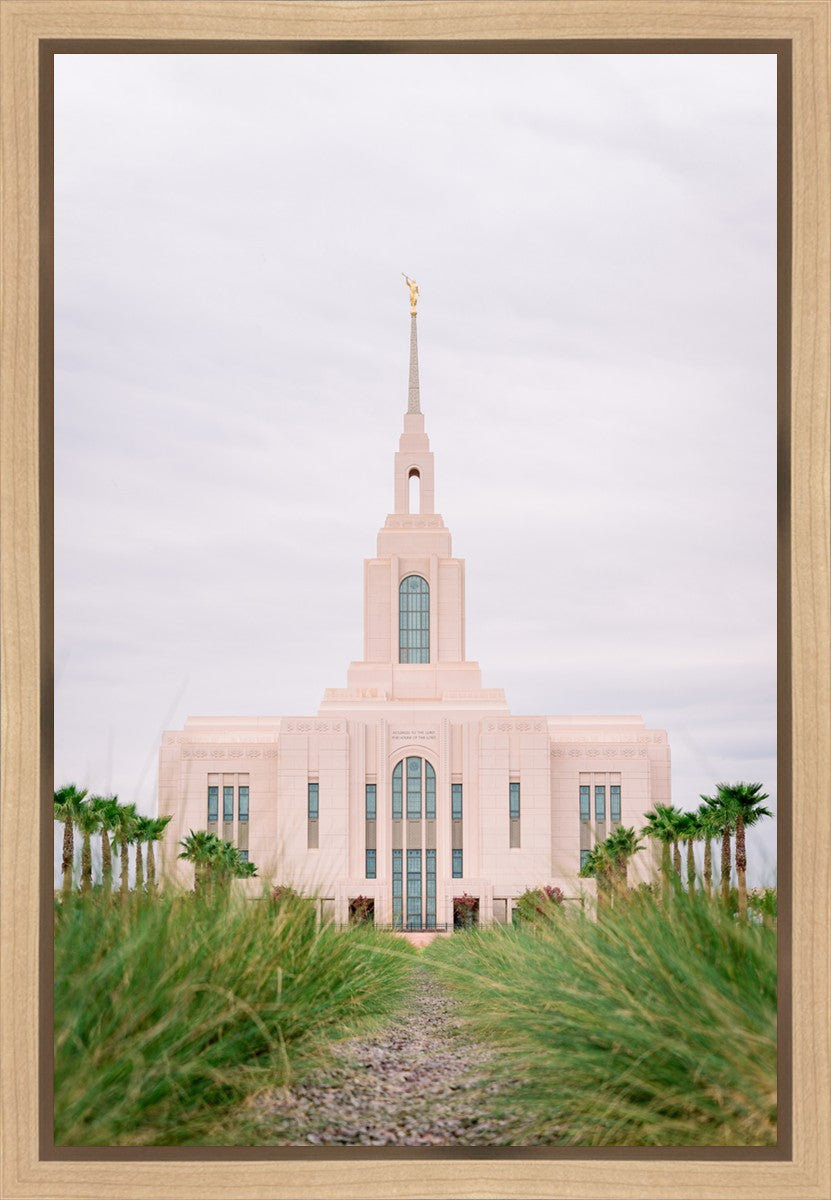 Red Cliffs Utah Palm Trees
