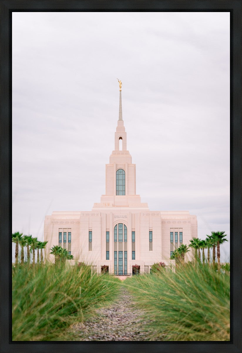 Red Cliffs Utah Palm Trees