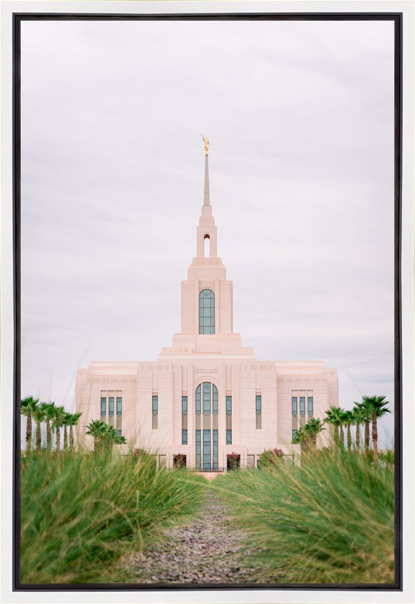 Red Cliffs Utah Palm Trees