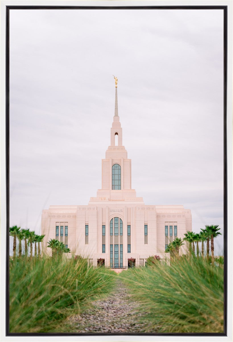 Red Cliffs Utah Palm Trees