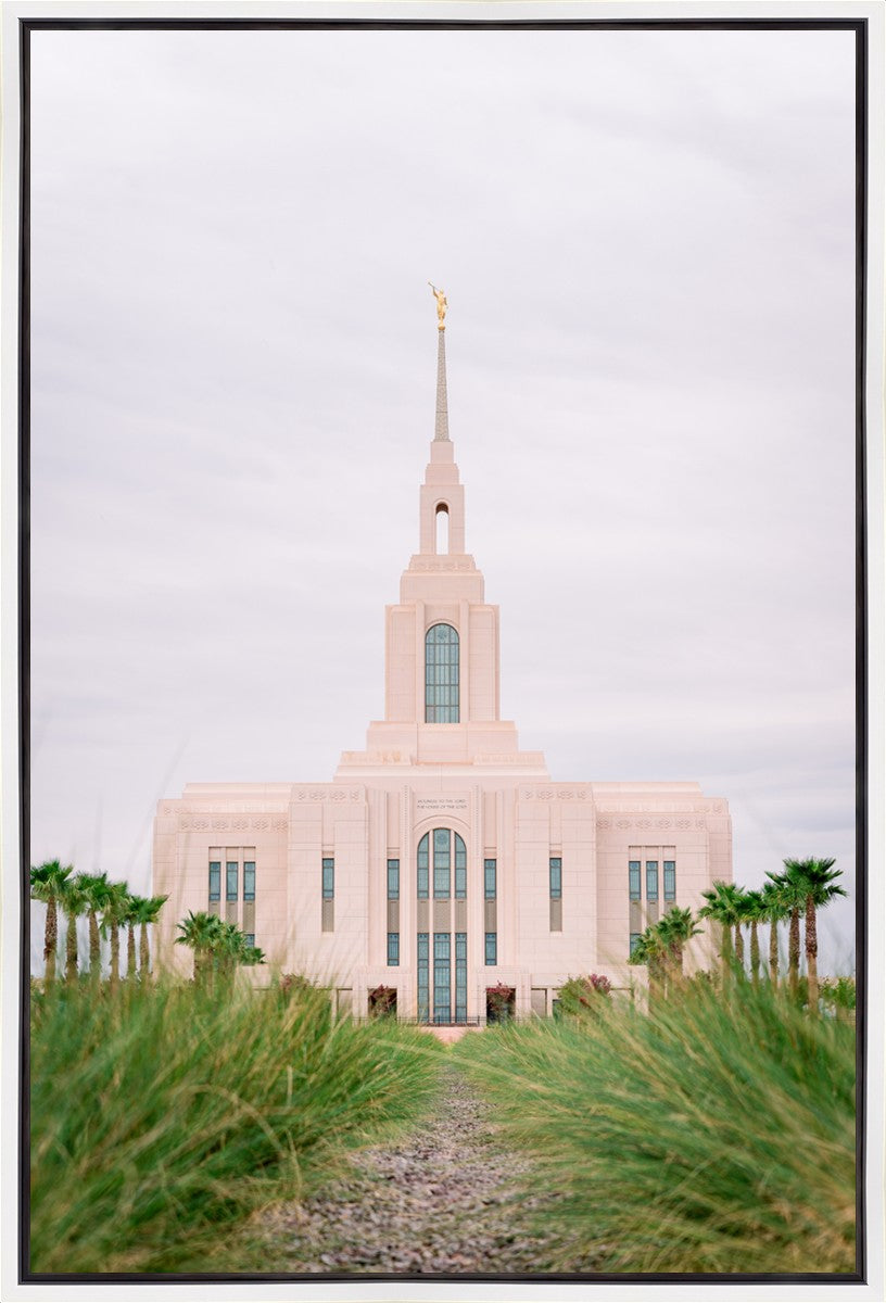 Red Cliffs Utah Palm Trees