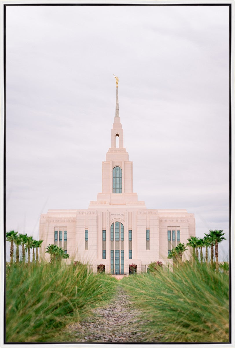 Red Cliffs Utah Palm Trees