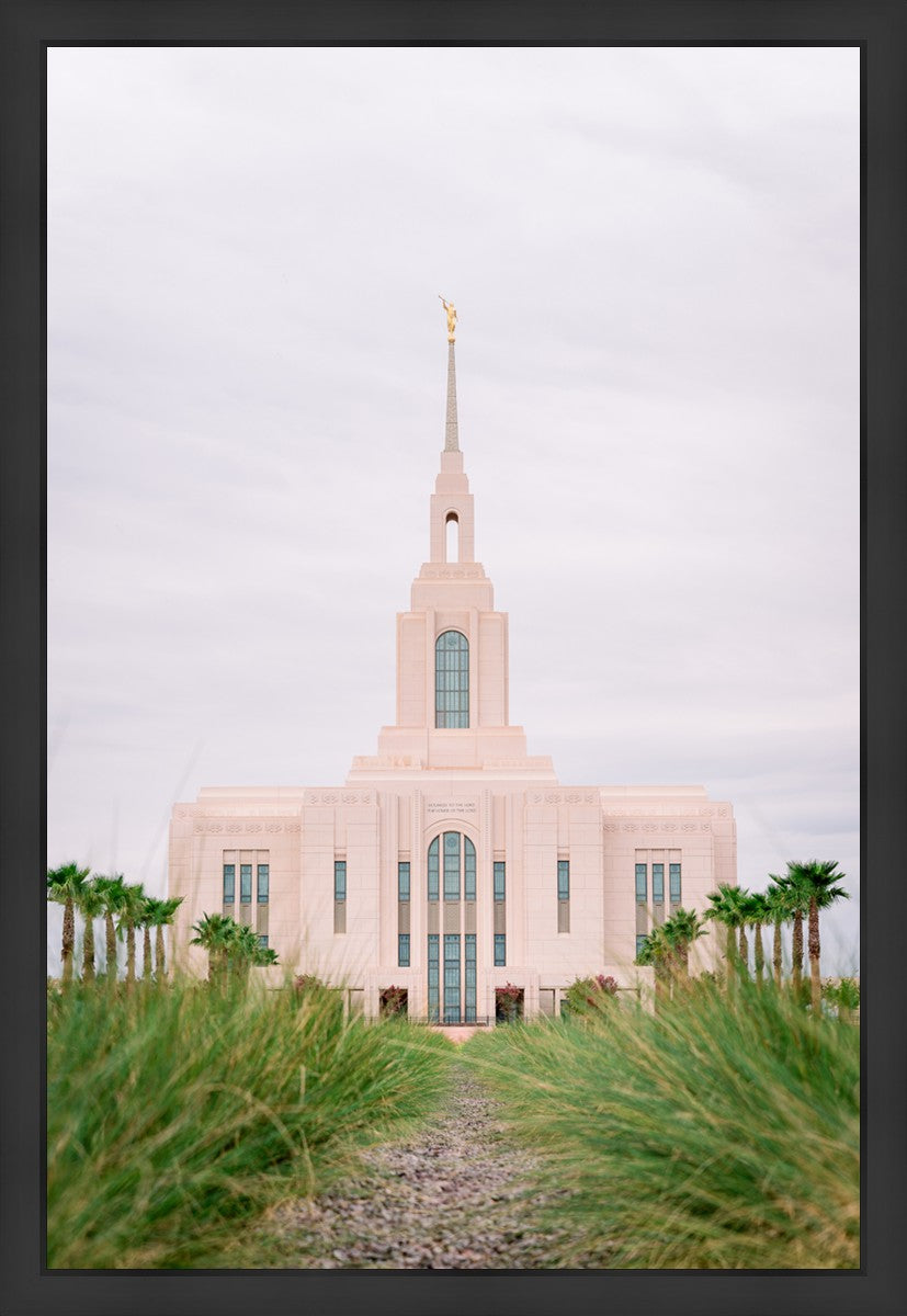 Red Cliffs Utah Palm Trees