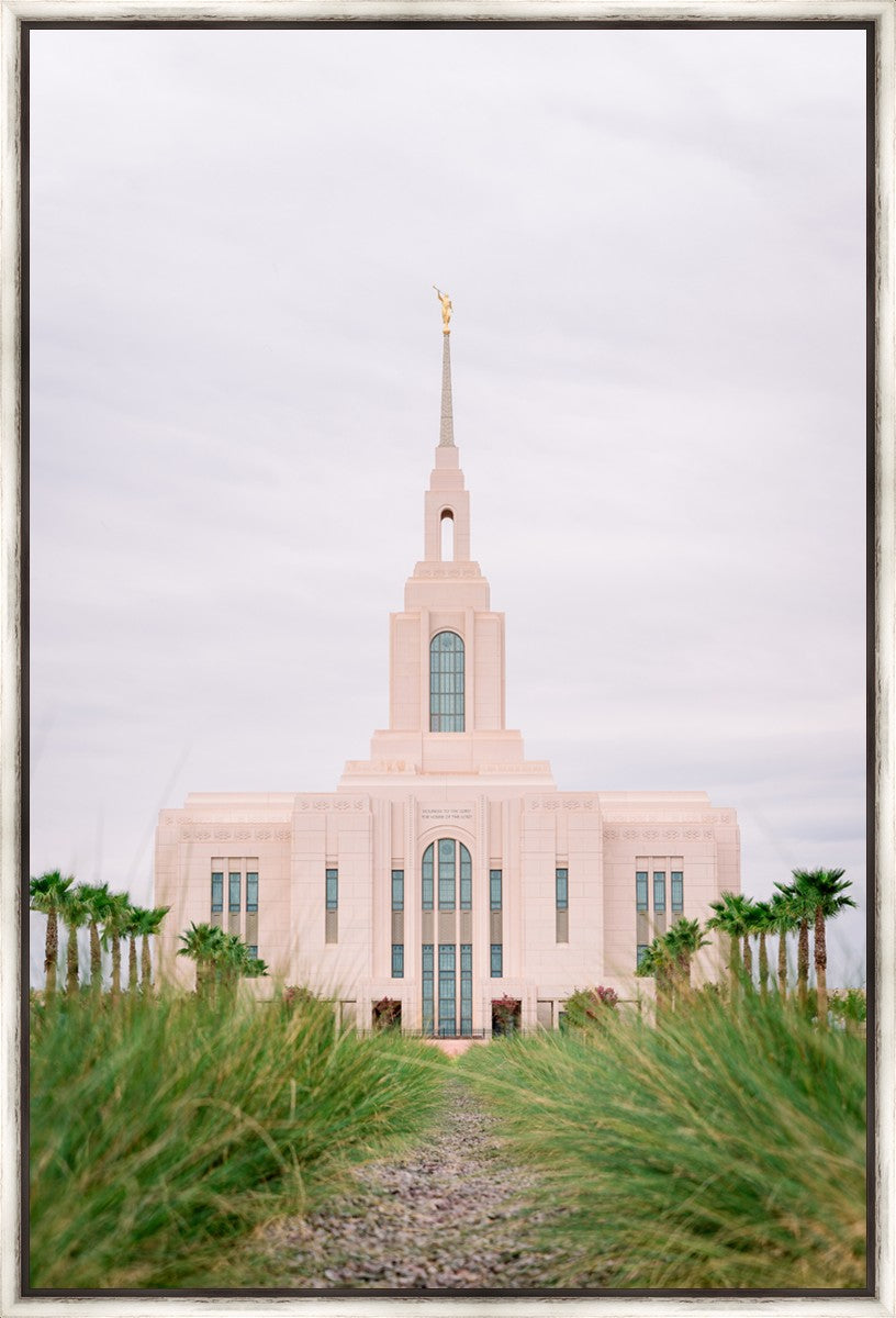 Red Cliffs Utah Palm Trees