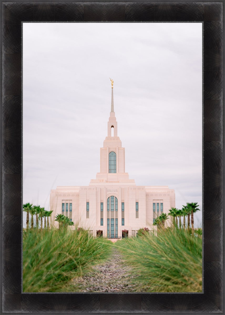Red Cliffs Utah Palm Trees
