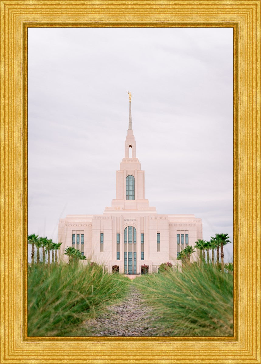 Red Cliffs Utah Palm Trees