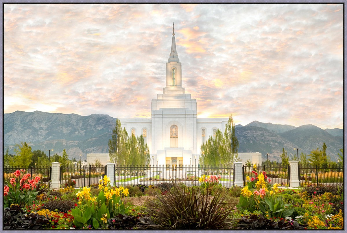 Orem Utah Sunrise Flowers
