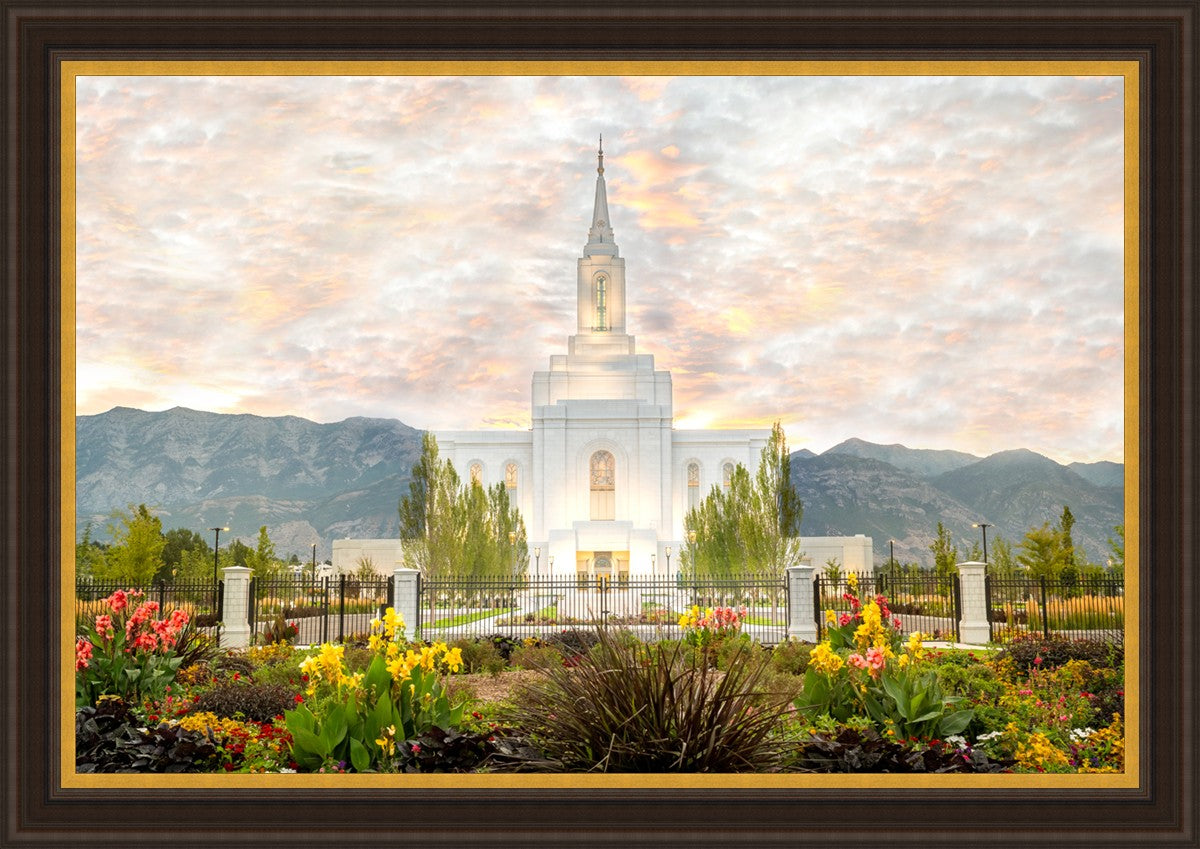 Orem Utah Sunrise Flowers