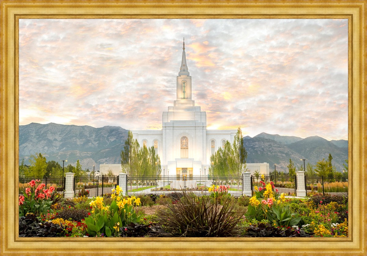 Orem Utah Sunrise Flowers