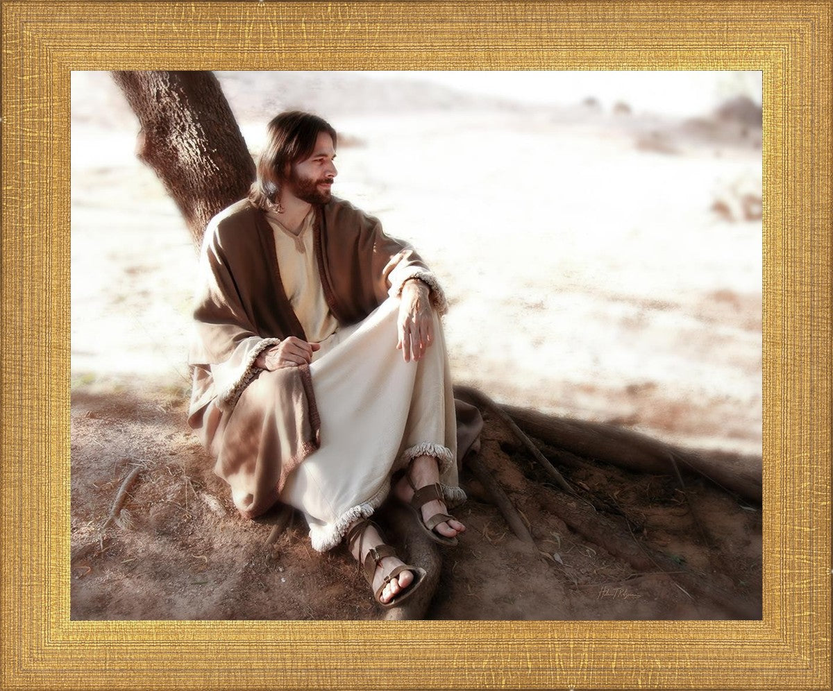 The Solitude of Christ