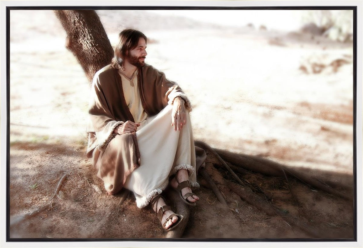 The Solitude of Christ