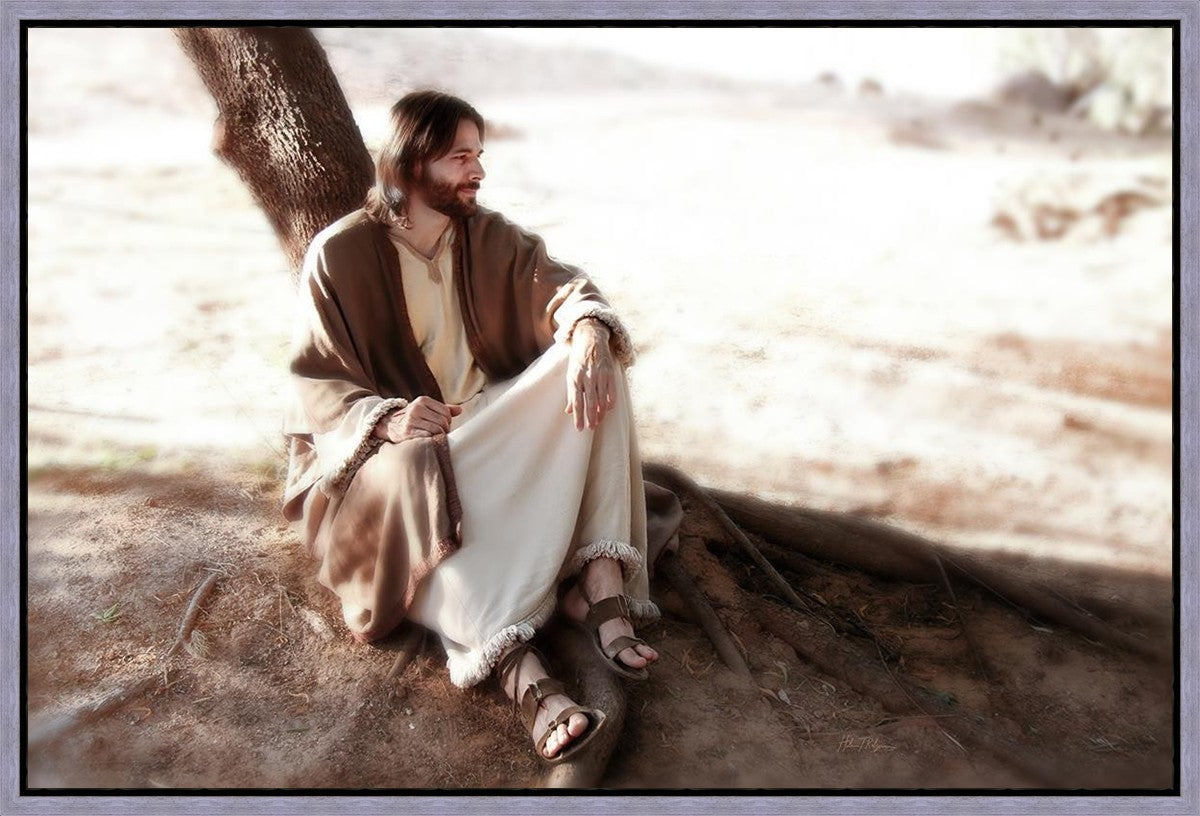 The Solitude of Christ