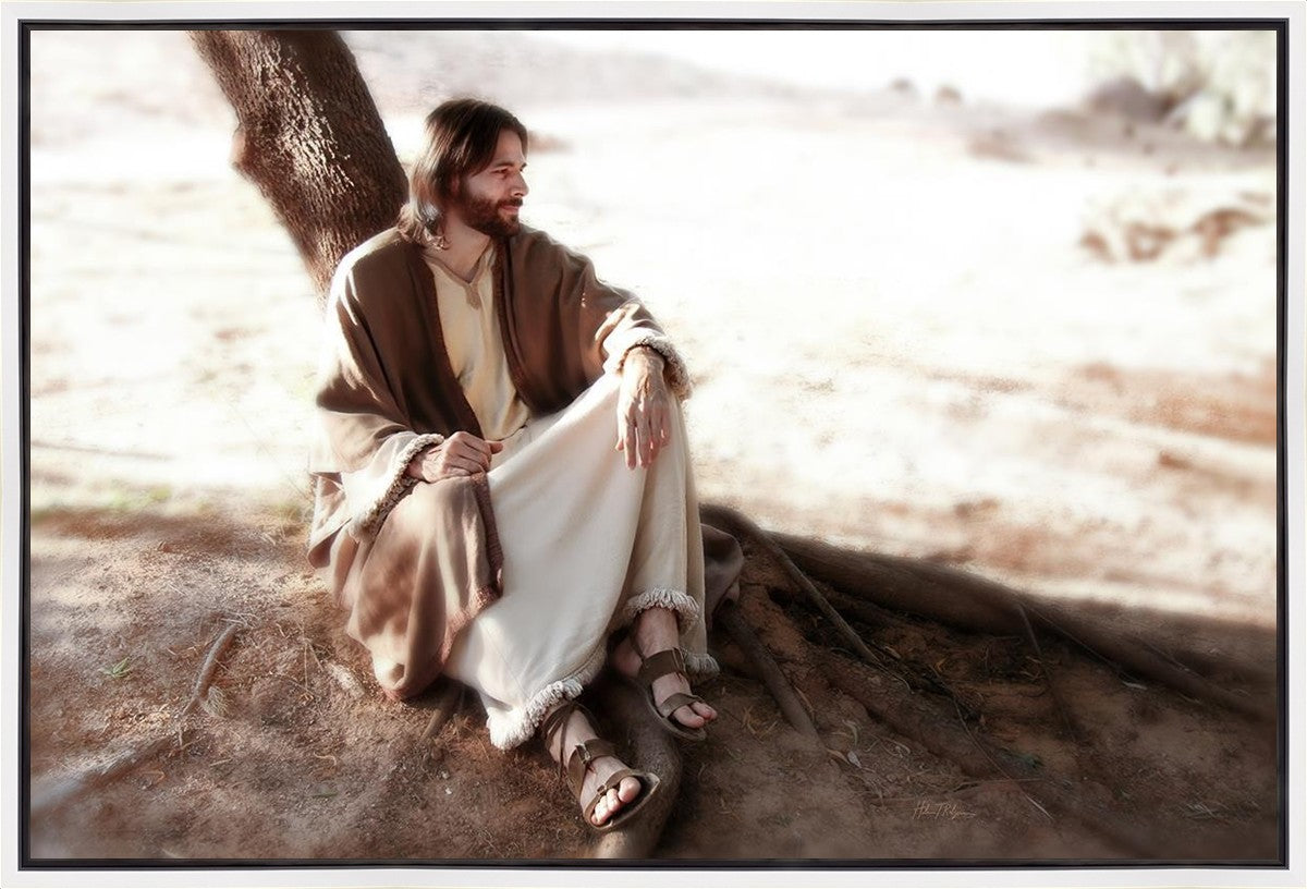 The Solitude of Christ