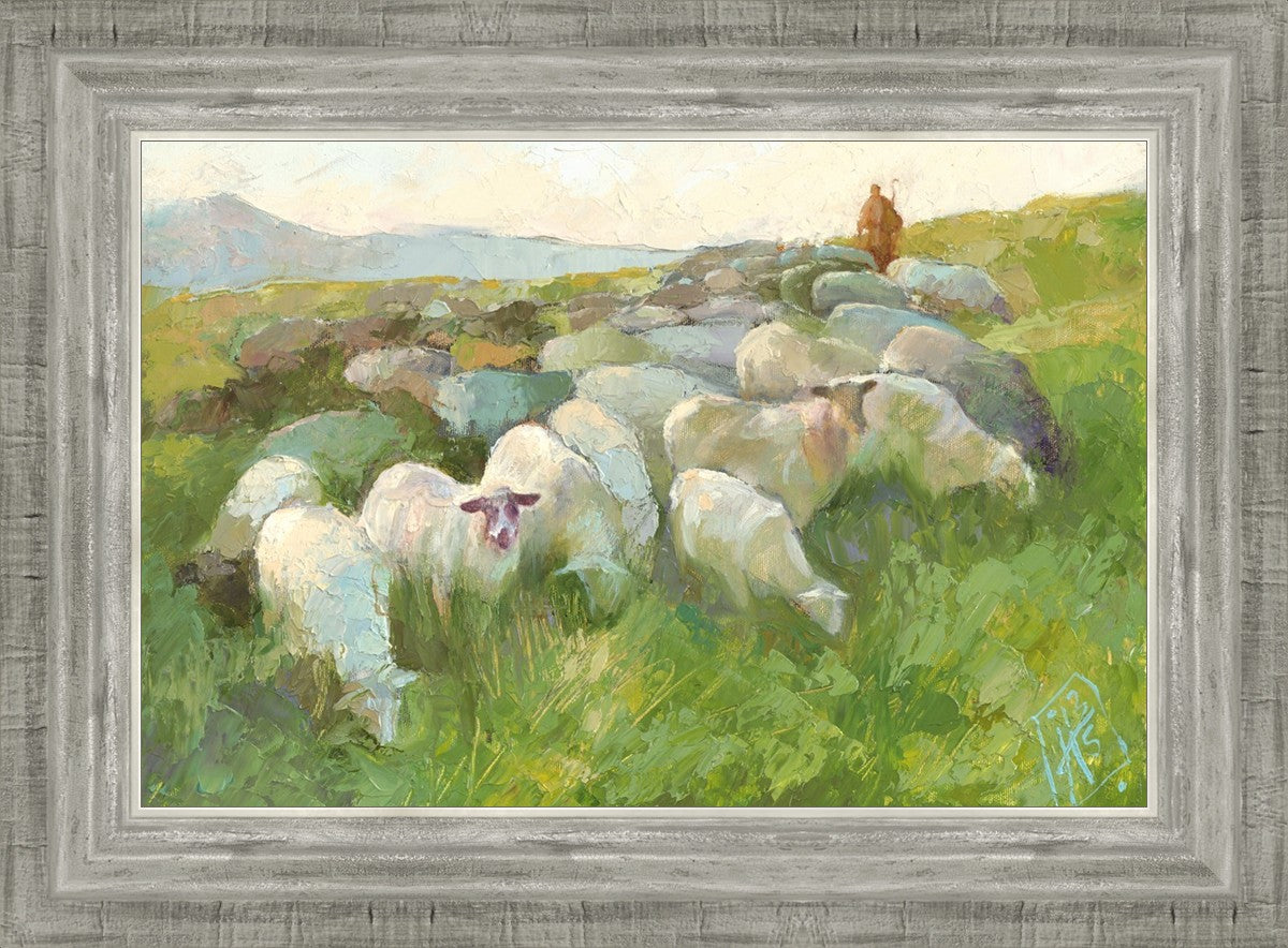 In The Care of The Shepherd