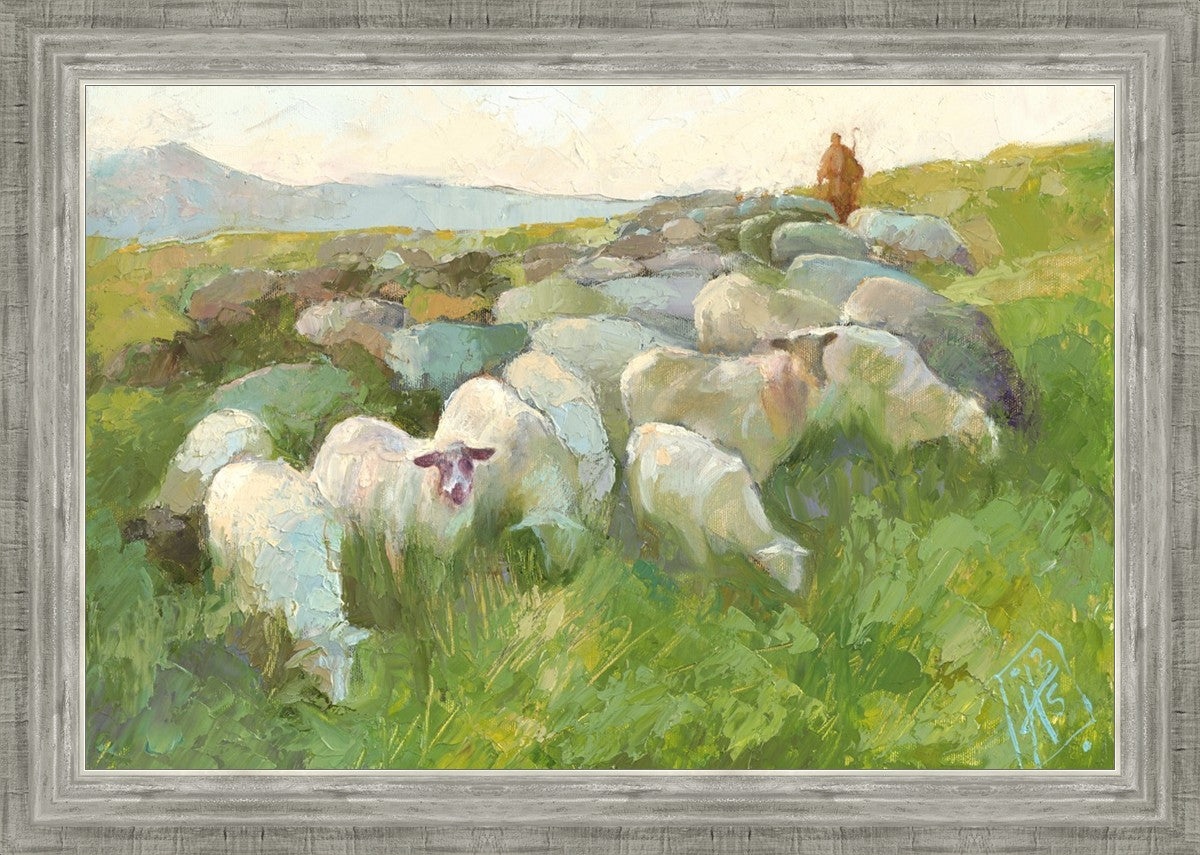 In The Care of The Shepherd