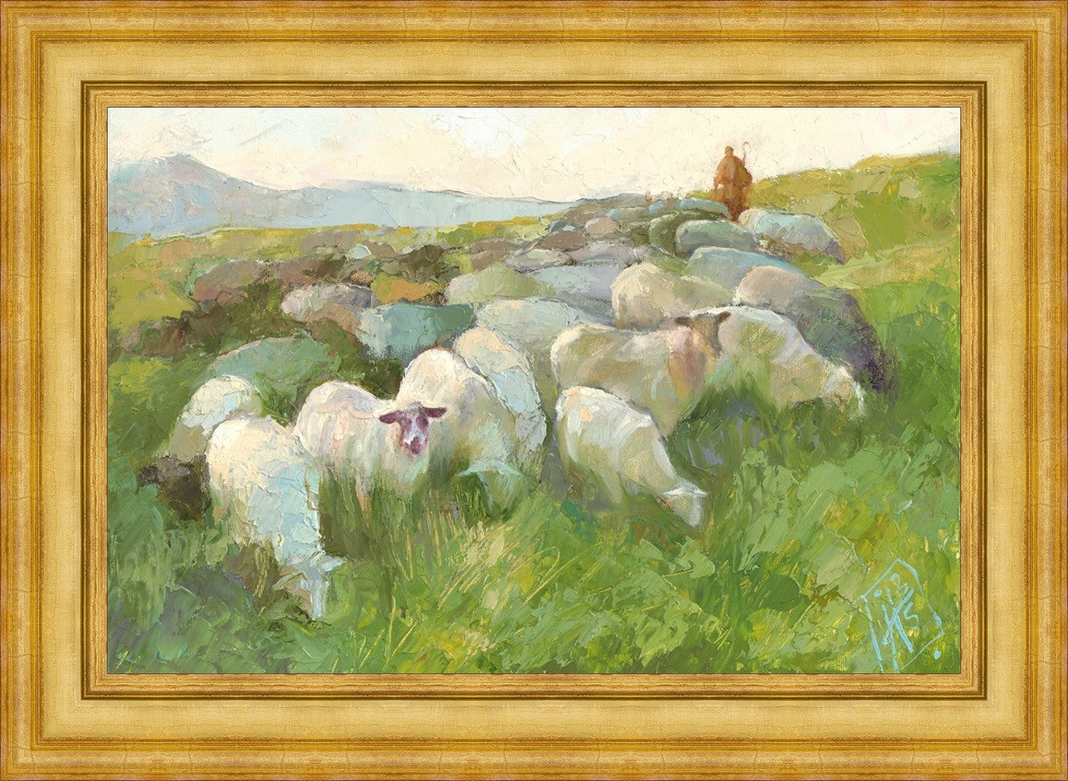 In The Care of The Shepherd