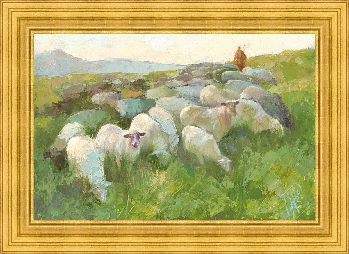 In The Care of The Shepherd