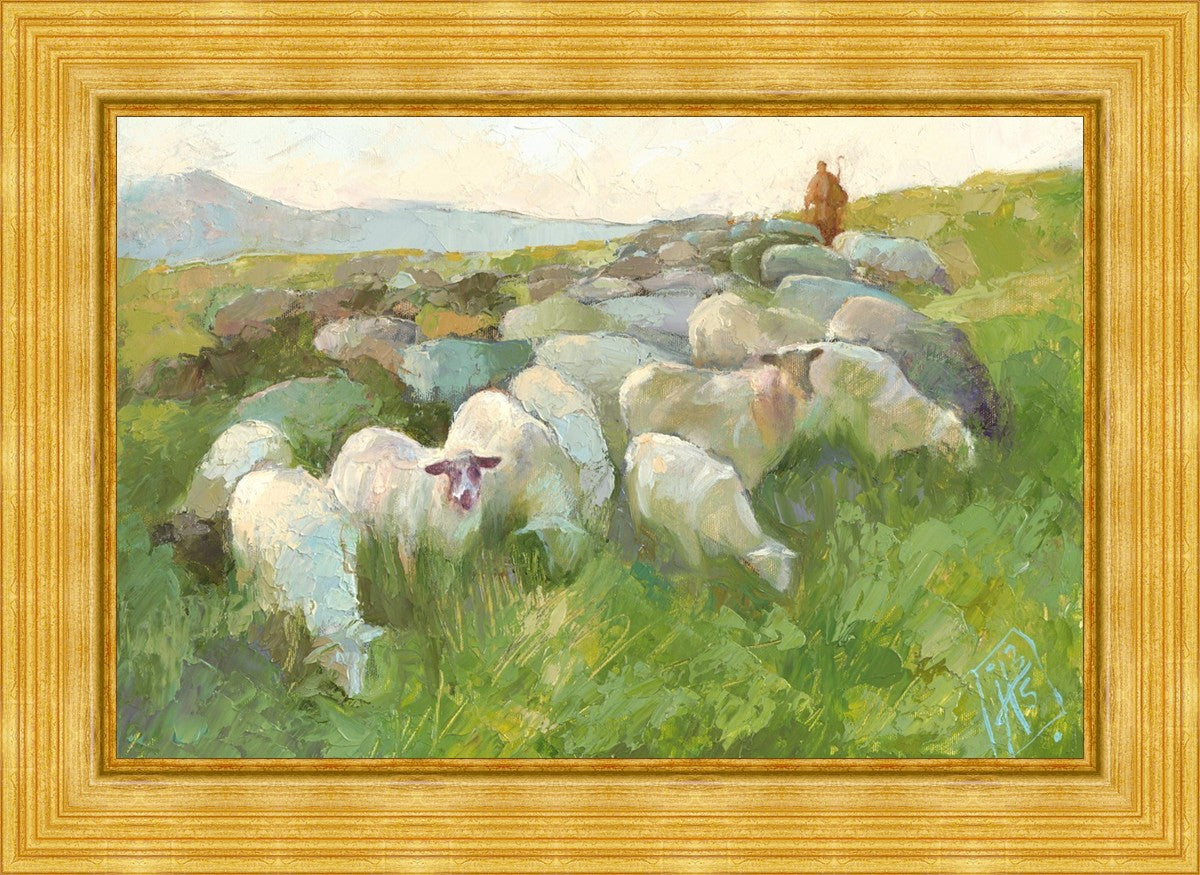 In The Care of The Shepherd