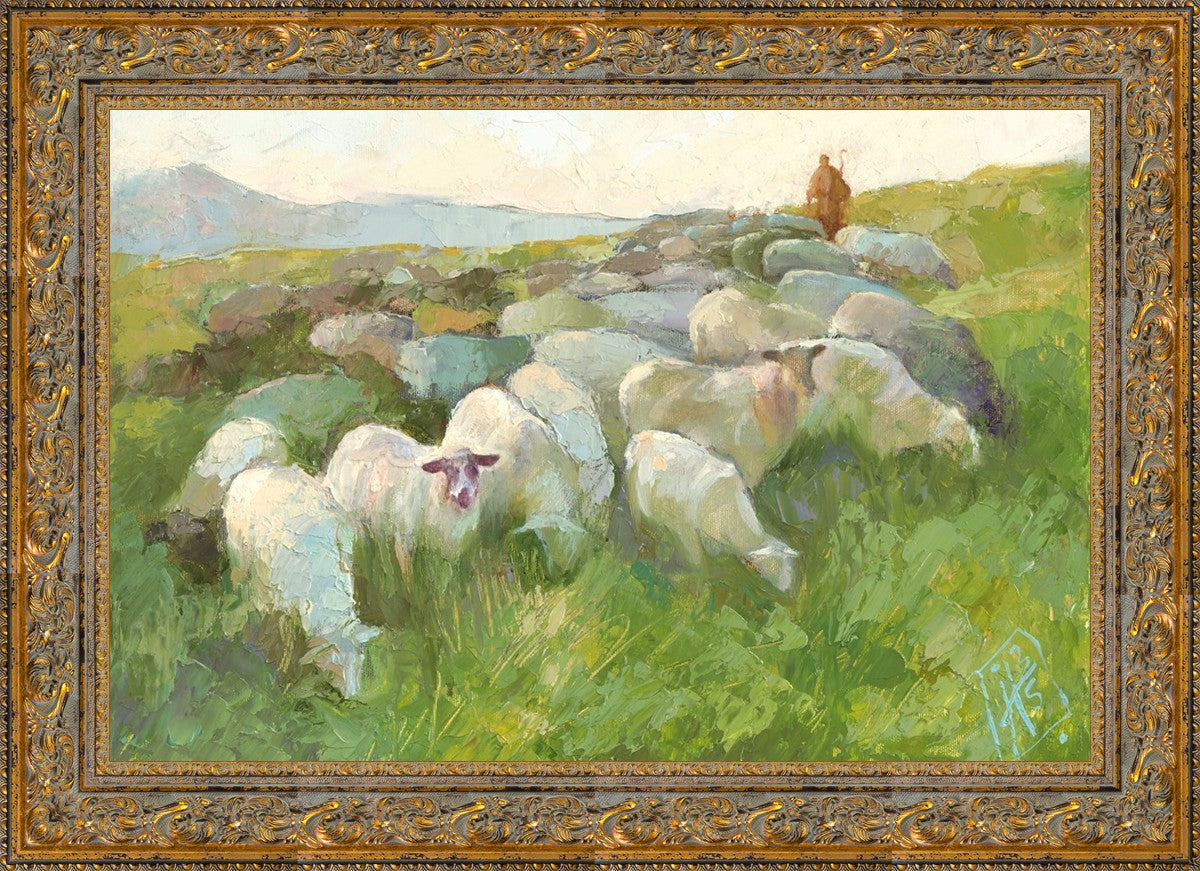 In The Care of The Shepherd