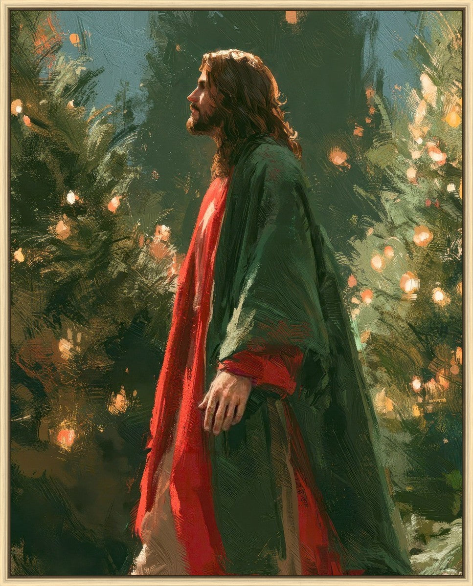 Light of the Season