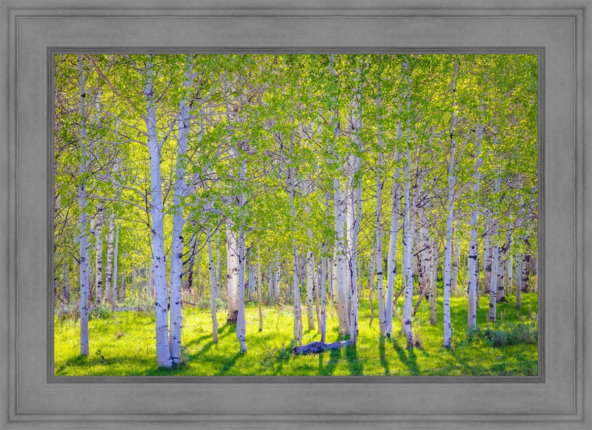 Early Morning Light in the Wasatch Backcountry