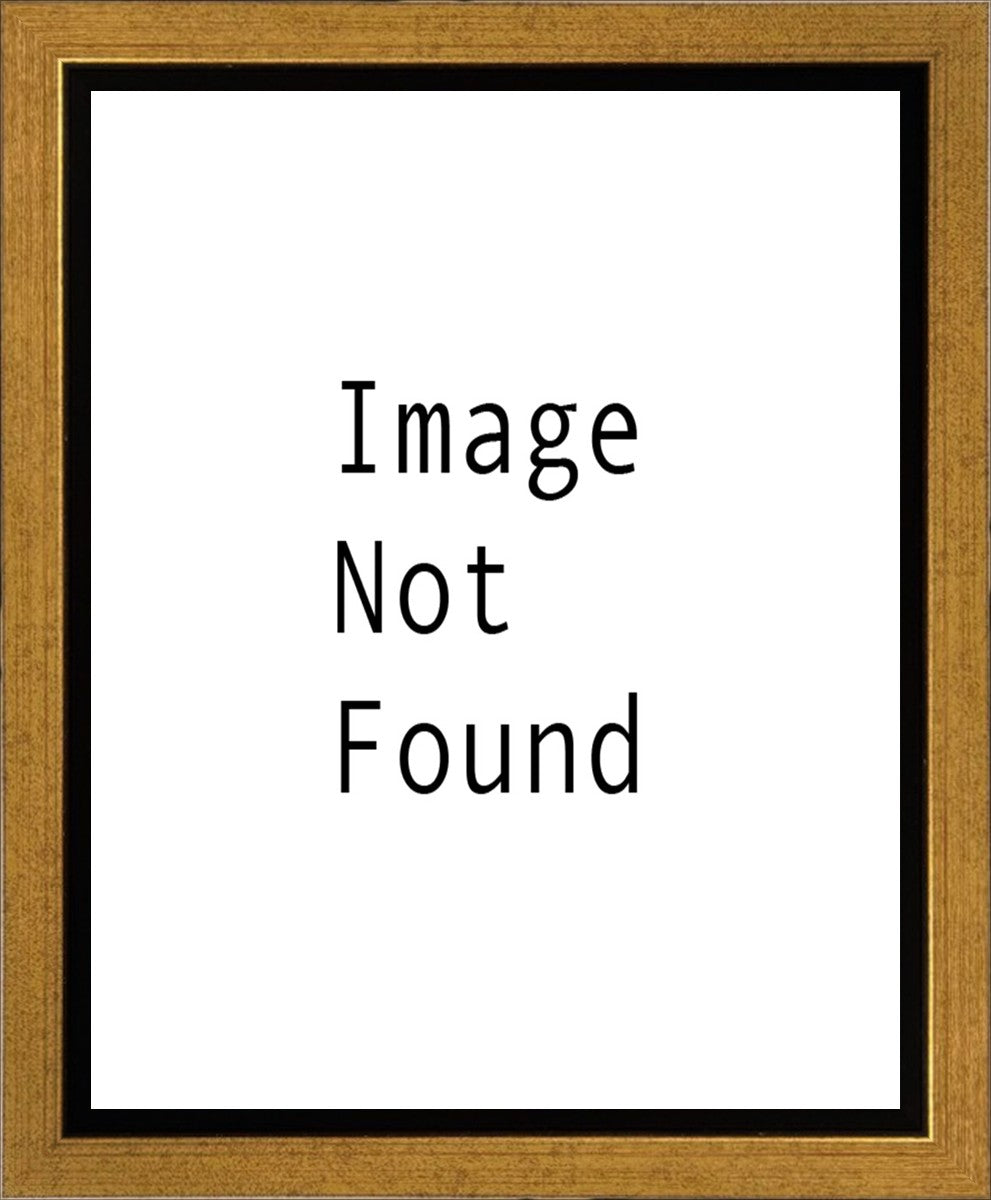 Sunrise Over Mt. Timpanogos, Utah