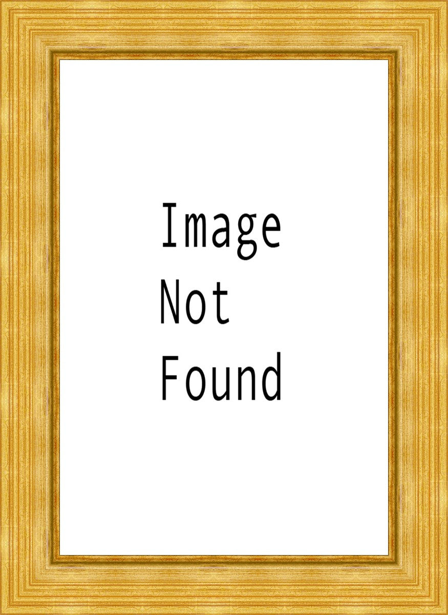 Sunrise Over Mt. Timpanogos, Utah